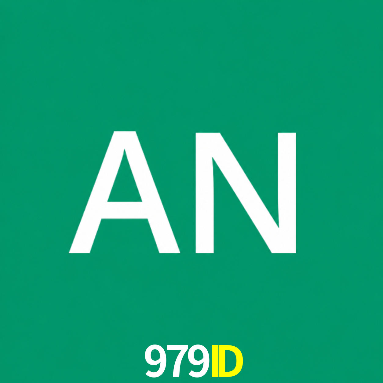 Adi Nugroho - Founder & CEO 979ID Indonesia